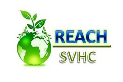 REACH�y(c��)ԇ